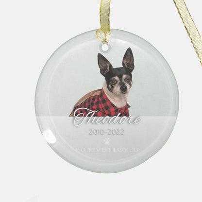 Forever Loved Clear Glass Decorative Ornament